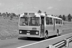 Bus252-AdelaideAv-1