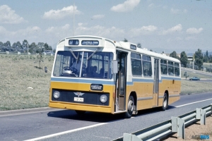 BUS 253-1