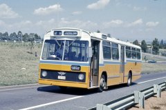 Bus253-AdelaideAv-1