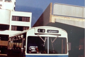 BUS 255-1