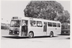 Bus 255 - Narrabundah Terminus