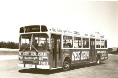 Bus-257-Chapman-1