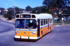 Bus-257-Kitchener-Street