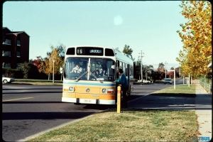 BUS 261-1