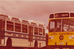 Buses 262 and 261