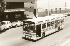 Bus-262-Bunda-Street