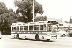 Bus-262-Mort-Street