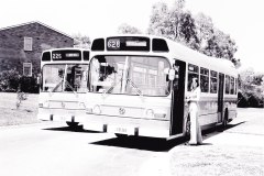 Buses 261 and 263 - Hackett Terminus