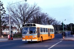 Bus-263-Northbourne-Avenue