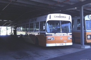 BUS 264-1
