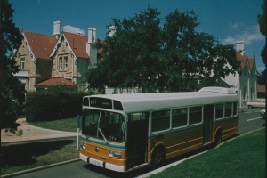 BUS 265-1