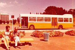 Bus 265- Vernon Circle