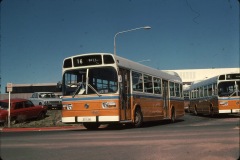 Bus 268 - Woden Interchange
