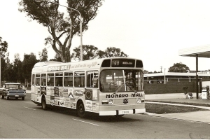 BUS 269-1