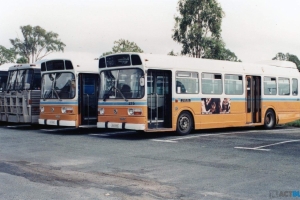 BUS 275-1