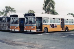 Bus 275