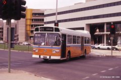 Bus-279-Benjamin-Way