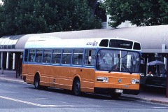 Bus-281-City-Interchange