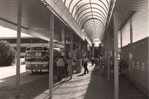 BUS 284-1