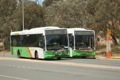 Bus-300-College-Street