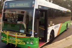 Bus-300-Fraser-West