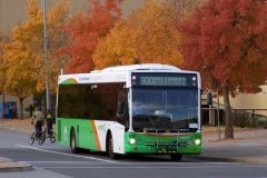 Bus-300-Tuggeranong-Interchange