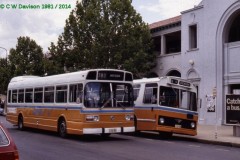 Buses 302 and 336 - City Interchange