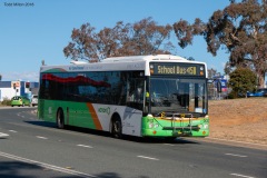 Bus-302-Nettlefold-St
