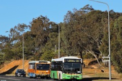 Bus-302-College-Street-with-Bus-979-