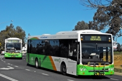 Bus-302-Nettlefold-Street