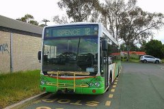 Bus302-Spence-1