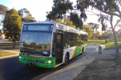 Bus-304-Fraser-West