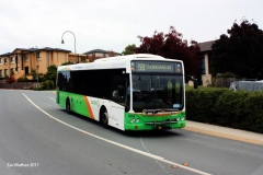Bus-304-Kosciuszko-Avenie