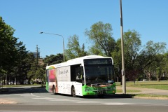 Bus-304-Walpole-Crescent