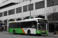 Bus-304-City-Interchange