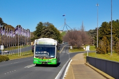 Bus304-CommonwealthAv-1