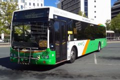 Bus305-CityWest-1
