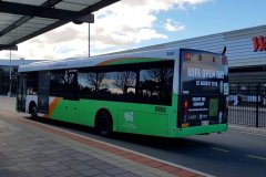 Bus308-Wbbs-1
