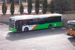 Bus-308-Belconnen-Interchange