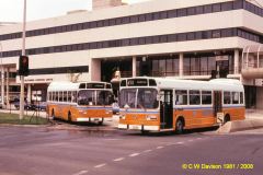 Buses-274-and-310-Benjamin-Way
