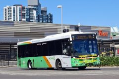 Bus310-Wbbs-1
