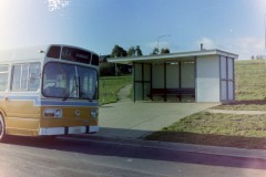 Bus 311 - Macgregor Terminus