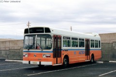 Bus 311 - Belconnen Interchange. Photo (C) Peter Liebeskind
