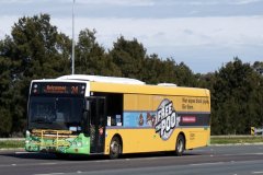 Bus311-GinninderraDr-1