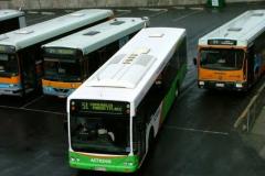 Bus-313-Belconnen-Interchange