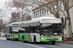 Bus-313-City-Bus-Station