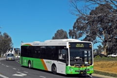 Bus-314-Nettlefold-Street