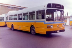 Bus-315-Kingston