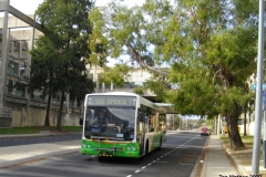 Bus-315-Cameron-Avenue