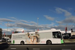 Bus-315-Cohen-Street-Bus-Station